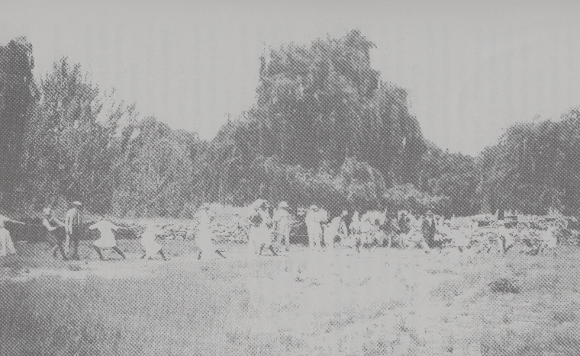 Sunday School Outing at Morgenzon, 1921